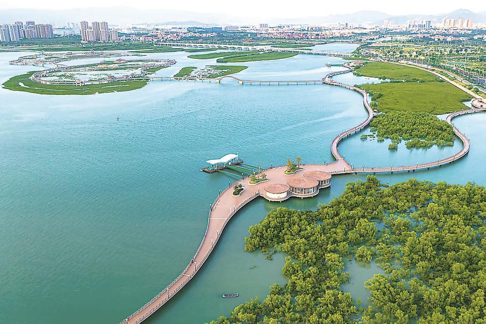 “海岸卫士”重生记