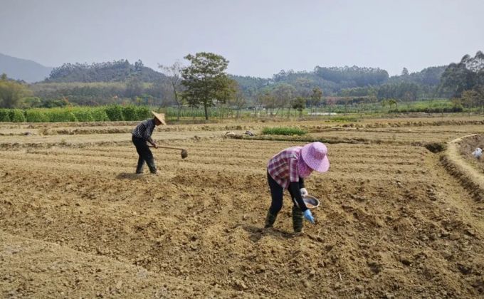 华安全域春耕正酣 田间“烟火”太治愈