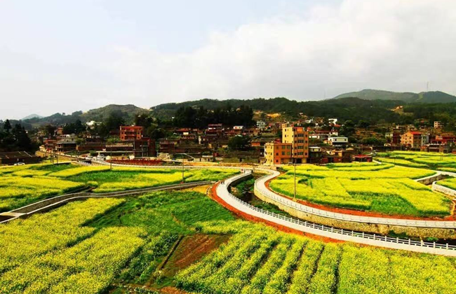 央媒看洛江 │ 从偏远山区到网红打卡地 洛江虹山乡全域土地综合整治显成效