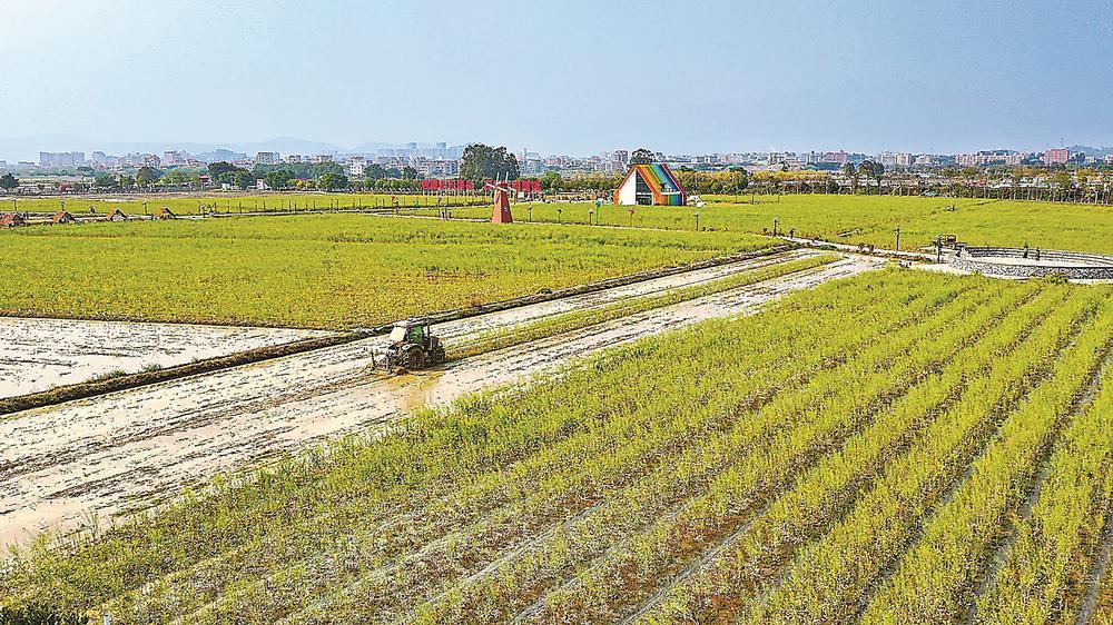 将丰收的伏笔写进每一寸土地