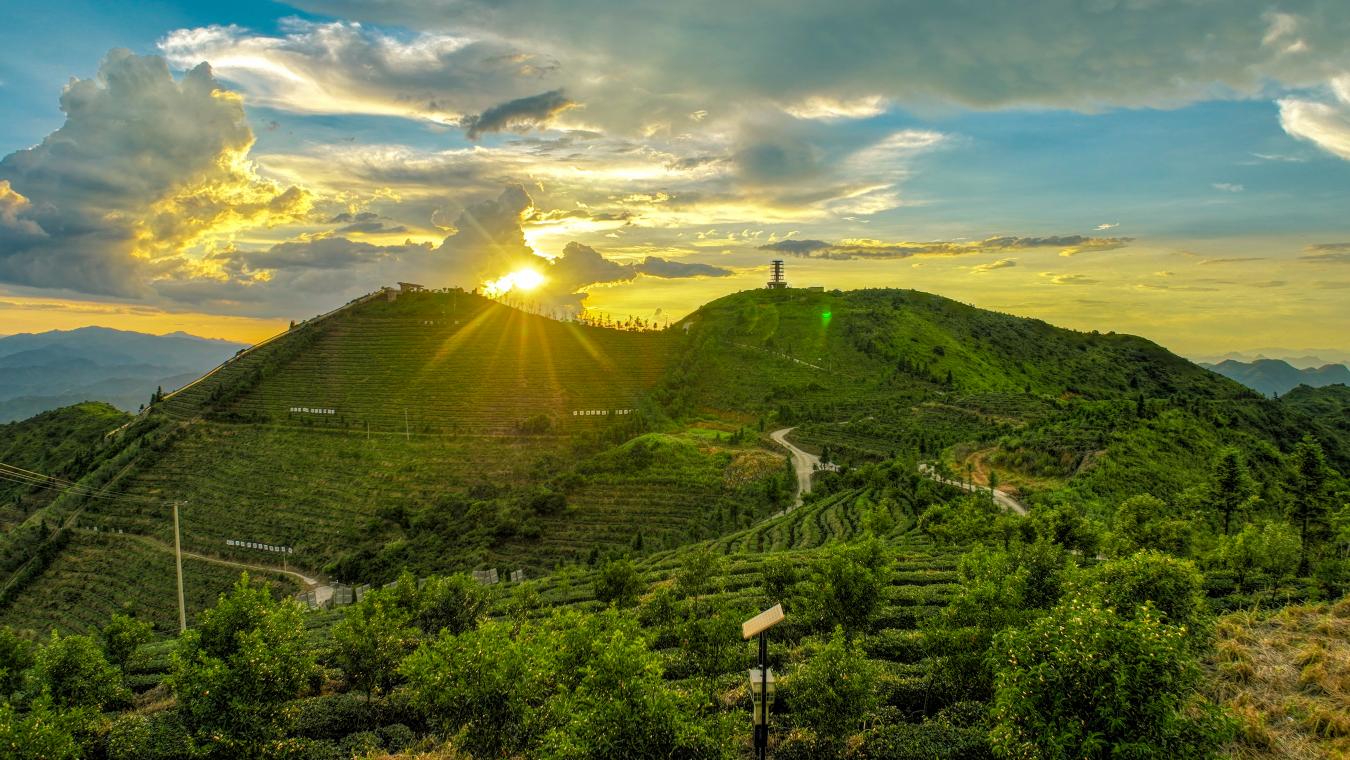 1774667083436858_html_33aa27a90323ea70