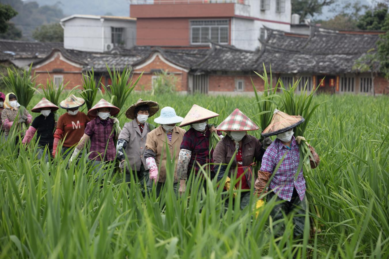 1774667083436858_html_79918da1c0ed27b