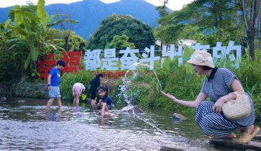 支部领航 合作社里促共富 福建安溪以党建引领激活乡村振兴新动能