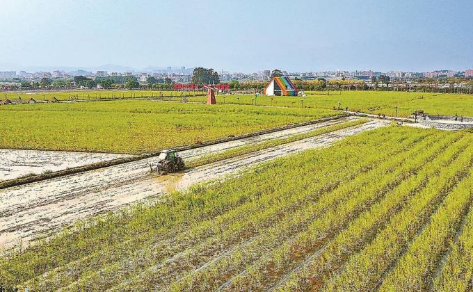 将丰收的伏笔写进每一寸土地