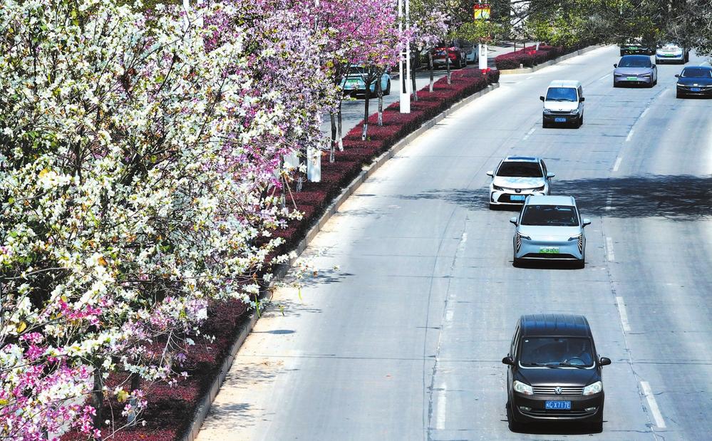 c2fd6b54-8070-40eb-84ac-628bcdfd00e7.jpg (1)