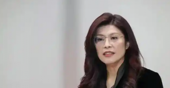 鄭麗文將應(yīng)邀訪問大陸，曾多次表達(dá)推動兩岸交流意愿