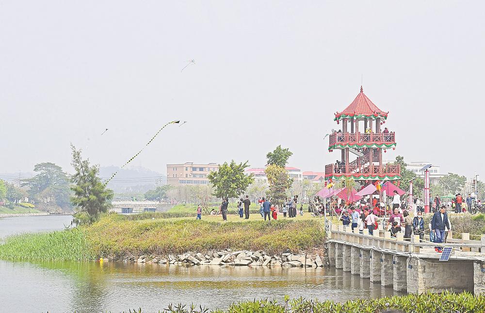 泉港区菜堂湿地公园油菜花进入盛花期