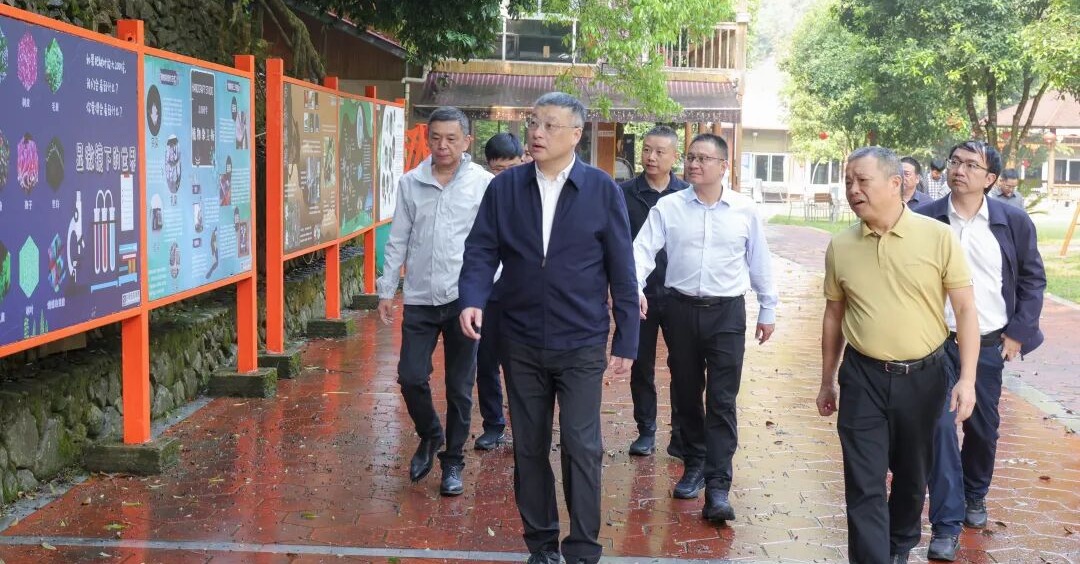 吴毓舟调研省级森林公园建设、检查清明节前森林防火工作并开展巡林