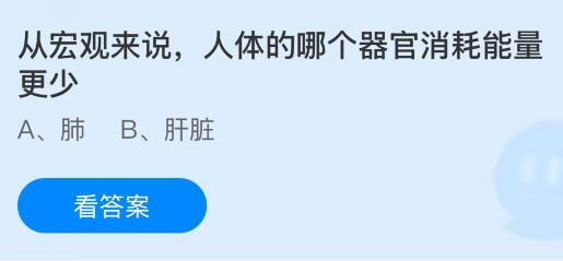 从宏观来说人体的哪个器官消耗能量更少？蚂蚁庄园课堂今天答案最新4月1日