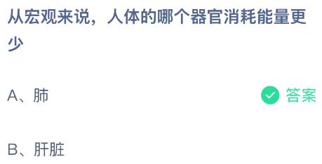 从宏观来说人体的哪个器官消耗能量更少？蚂蚁庄园课堂今天答案最新4月1日