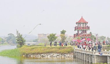 泉港区菜堂湿地公园油菜花进入盛花期