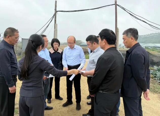 诏安县主要领导调研种养加一体化现代农业产业园建设工作