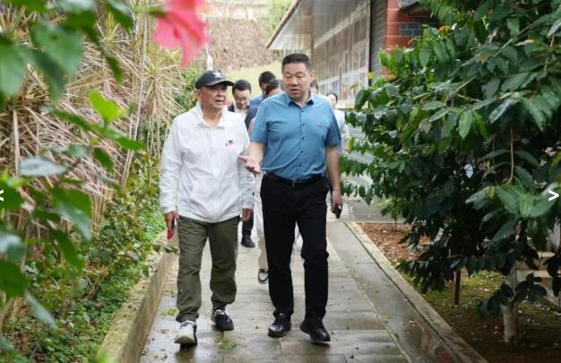 南靖县领导调研文旅康养产业发展工作