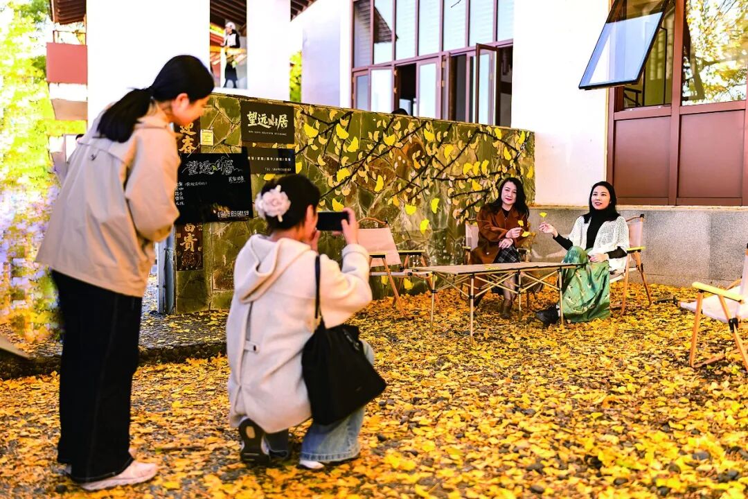 德化杨梅乡：聚焦“三个破局” 激活发展动能