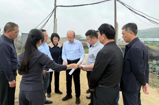 诏安县主要领导调研种养加一体化现代农业产业园建设工作