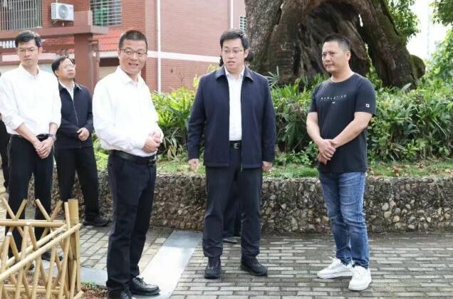 长泰区委书记调研农业农村工作