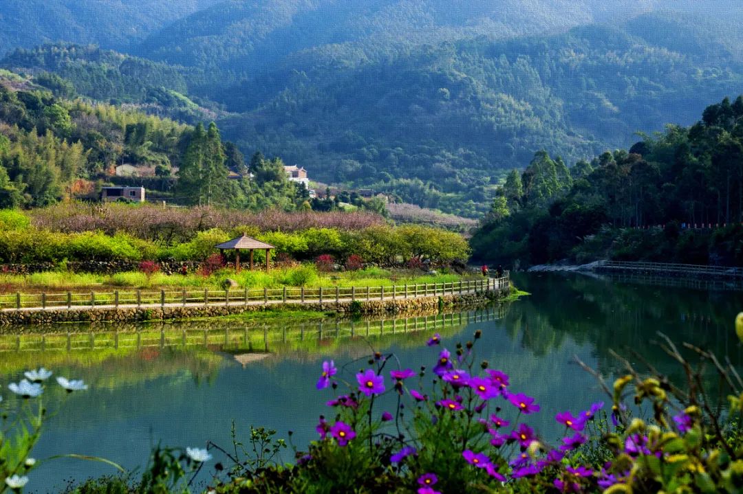 2026福建文旅大会·漫游长泰丨传统古村落后坊村