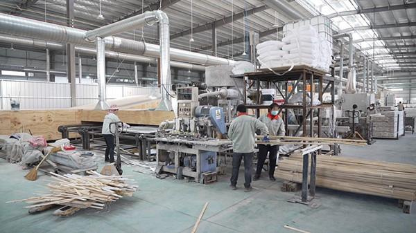 三明沙县：“村企联建”让竹林生“金”