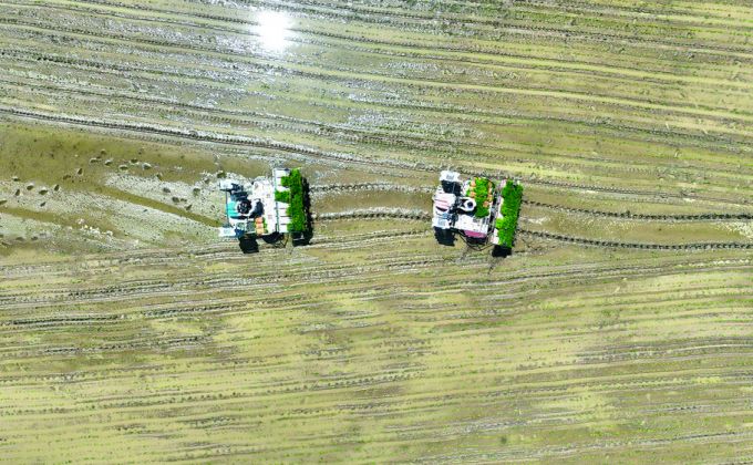 不负春光耕耘忙