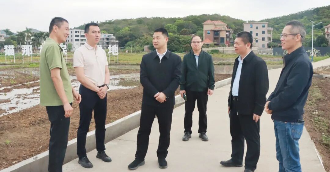 洛江区政府区长郭宁带队调研现代农业发展及春耕备耕工作