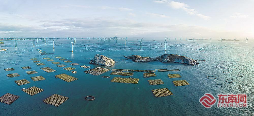 南日岛海域鲍鱼养殖区（资料图片） 福建日报记者 林熙 摄