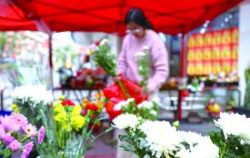 清明至 鲜花热销