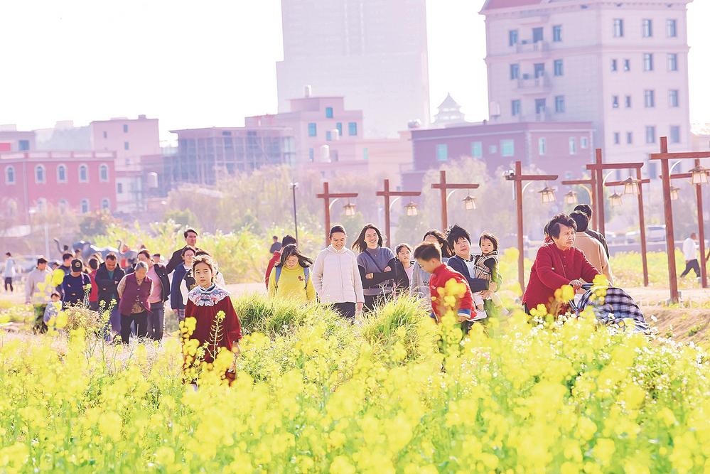 南安市水头镇：“巴掌田”变“稻梦岛”