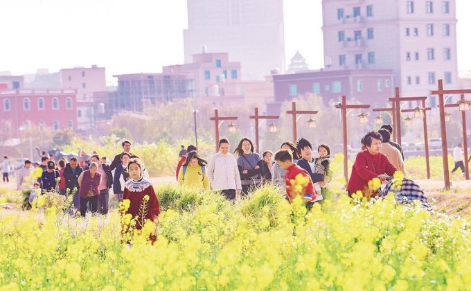 南安市水头镇：“巴掌田”变“稻梦岛”