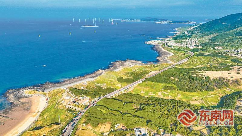 平潭：“硬茬”海风 难阻绿意