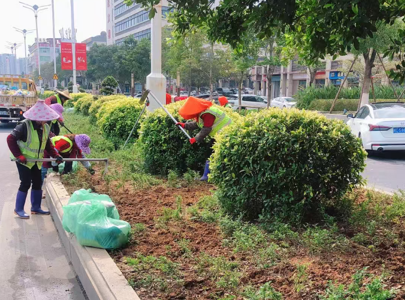 洛江区城管局：春季养护正当时 绿化“梳妆”换新颜