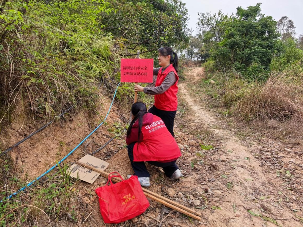 平安产险泉州中心支公司：废旧木板传防火心声 村企联动护清明平安