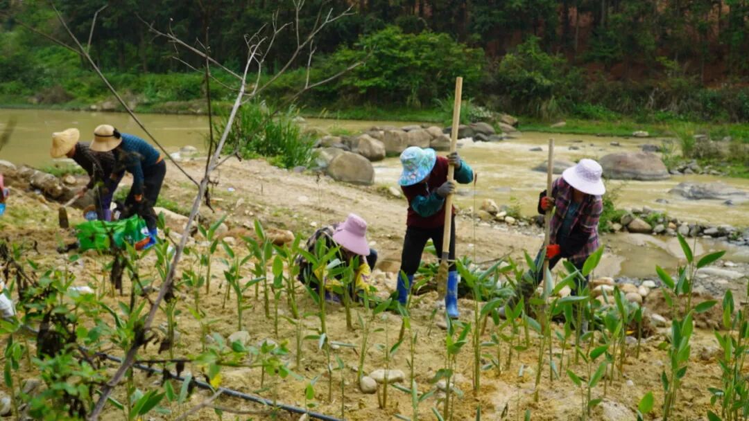 华安：深耕生态治理 惠及一方百姓