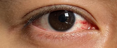 fad1b513-ef45-48d6-a85e-13e7828fd56c