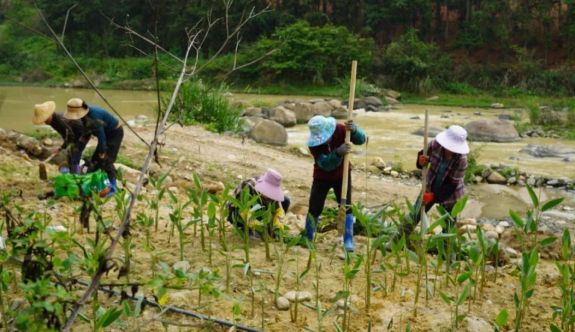 華安：深耕生態(tài)治理 惠及一方百姓