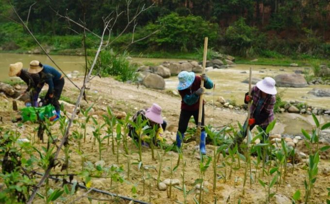 华安：深耕生态治理 惠及一方百姓