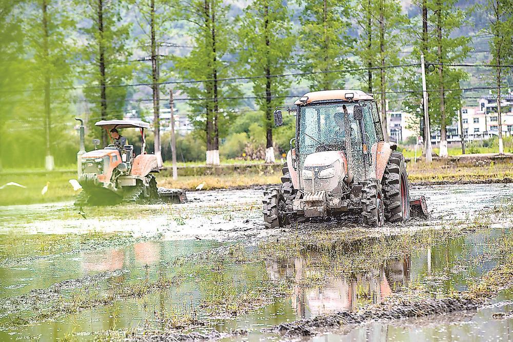 南平市松溪县迎来春耕关键期