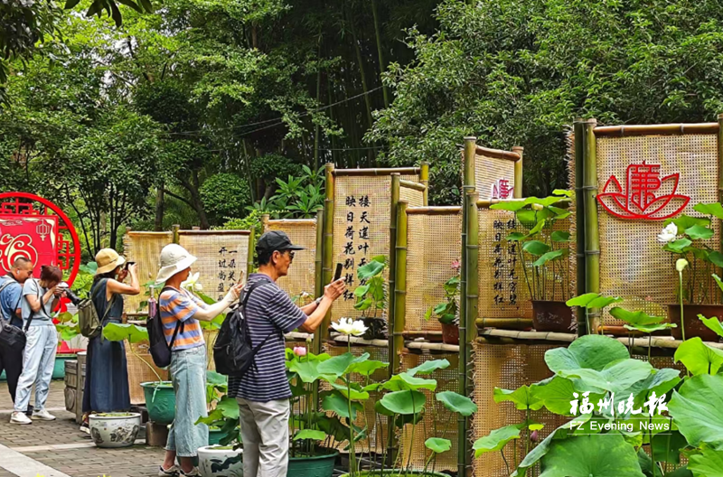 福州打造“榕心树廉”品牌 清风正气浸润有福之州