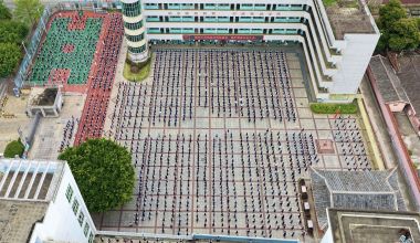 永春白鹤拳操成中小学课间新风尚