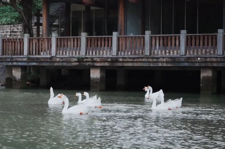 2026福建文旅大会·漫游长泰丨龙人古琴