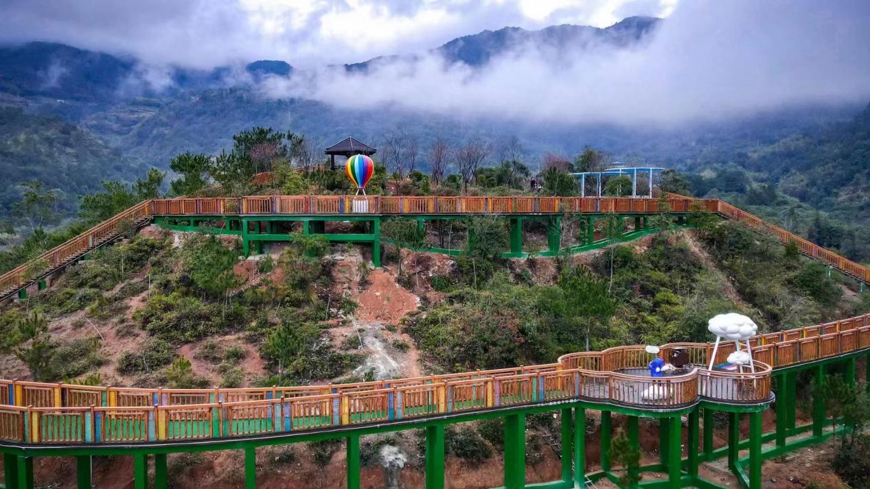 平和大溪：春耕插上“农旅翼” 生态稻田绘新景