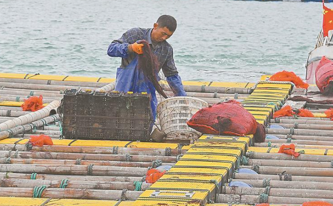 泉港：牧洋为田