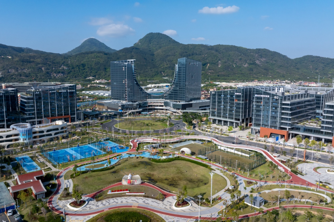 丰泽：创新培育人工智能OPC生态，打造全省OPC创业首选区