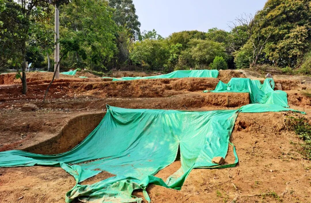 揭露三座南宋时期墓葬！南安龙岗山遗址考古发掘项目通过验收