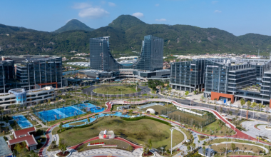 丰泽：创新培育人工智能OPC生态，打造全省OPC创业首选区