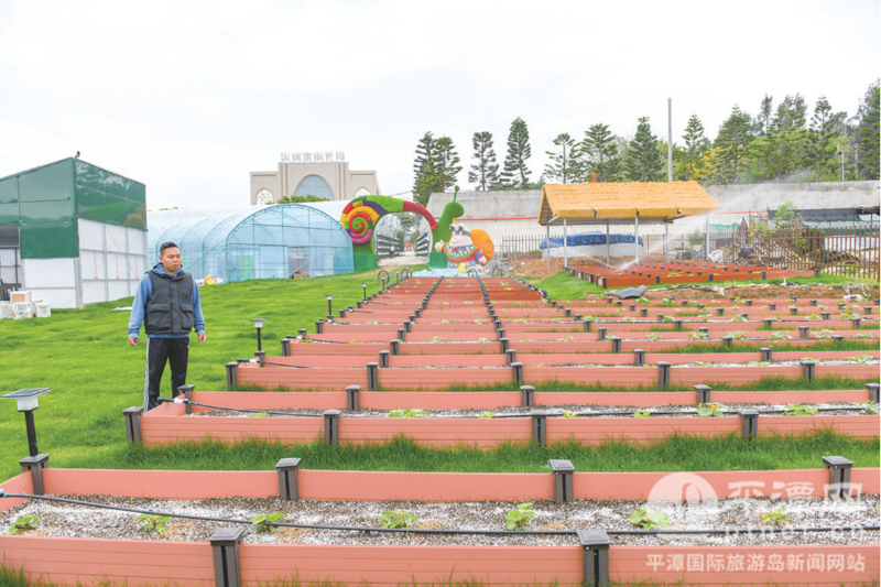 平潭上楼村白玉蜗牛示范基地扩建项目稳步推进