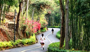 华安：这个地方 苏轼没来过 但你应该来