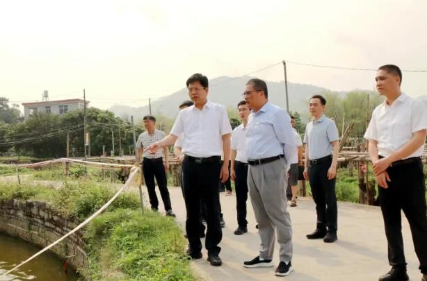 云霄县委书记一线调研并指导推动学习教育工作