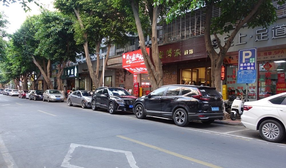 黄A无码片内射无码视频