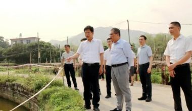 云霄县委书记一线调研并指导推动学习教育工作