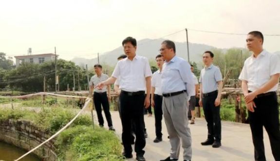 云霄縣委書記一線調(diào)研并指導推動學習教育工作